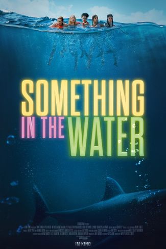 Poster of Something In the Water