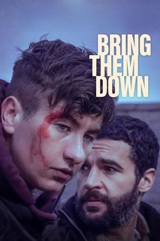 Poster of Bring Them Down