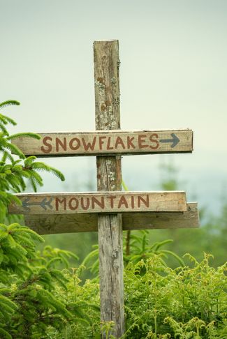 Poster of Snowflake Mountain