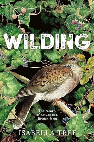 Poster zu Wilding