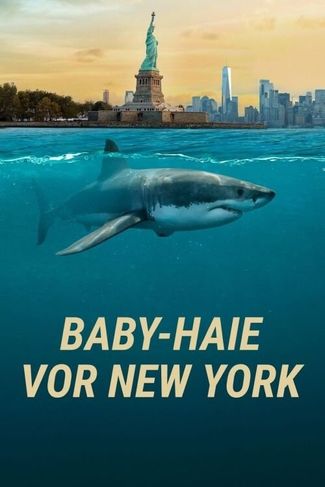 Poster zu Baby-Haie vor New York