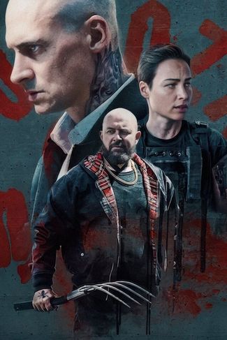 Poster zu Furioza 2