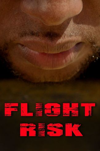 Poster of Flight/Risk