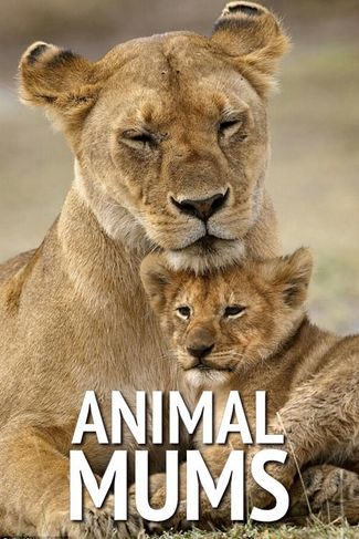 Poster zu Tierische Mamas