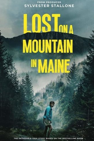 Poster zu Lost on a Mountain in Maine