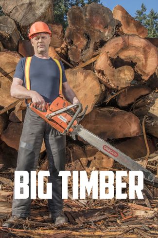 Poster zu Big Timber