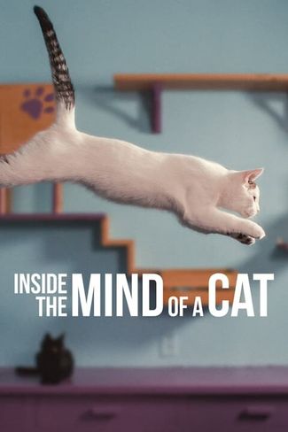 Poster of Inside the Mind of a Cat
