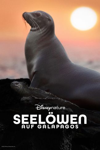 Poster zu Disneynatures: Seelöwen auf Galapagos
