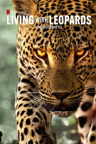 Poster zu Leben mit Leoparden