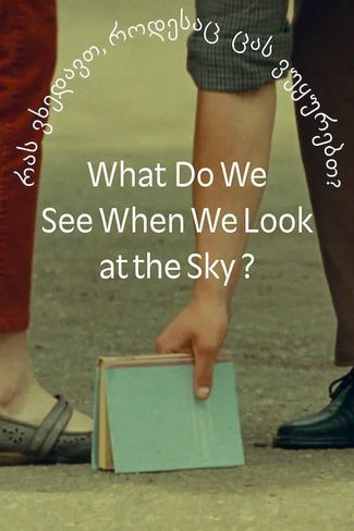 Poster of What Do We See When We Look at the Sky?