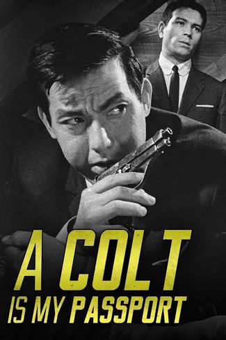 Poster zu A Colt Is My Passport