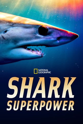 Poster zu Superkräfte der Haie