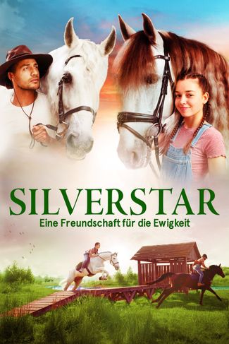 Poster of Silverstar
