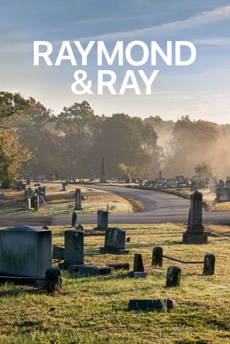 Poster zu Raymond & Ray