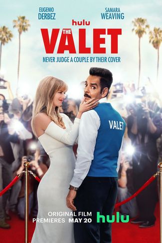 Poster of The Valet