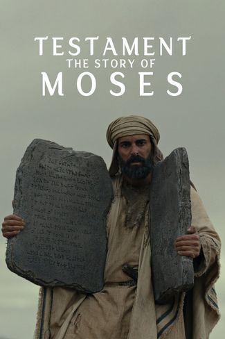 Poster of Testament: The Story of Moses