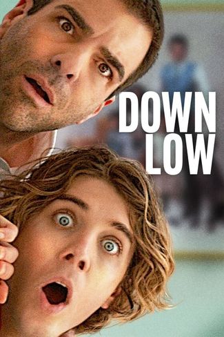 Poster zu Down Low