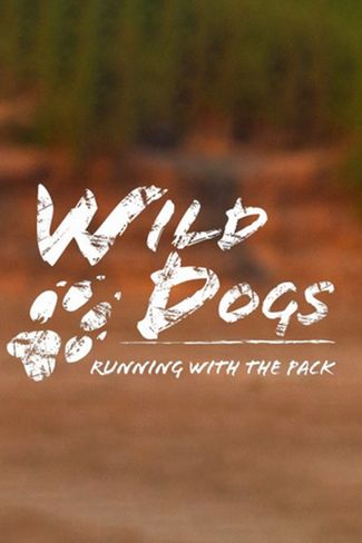 Poster zu Wildhunde: Mit dem Rudel laufen