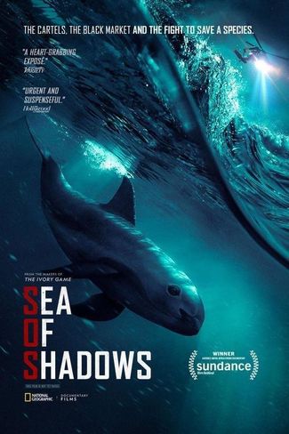 Poster zu Sea of Shadows - Der Kampf um das Kokain des Meeres 