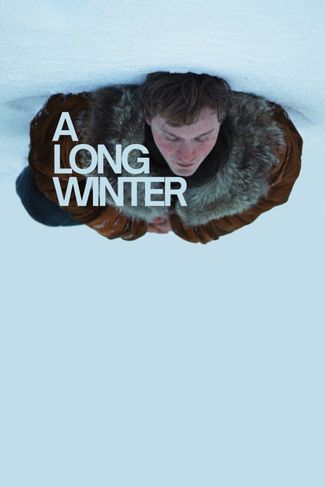 Poster zu Ein langer Winter