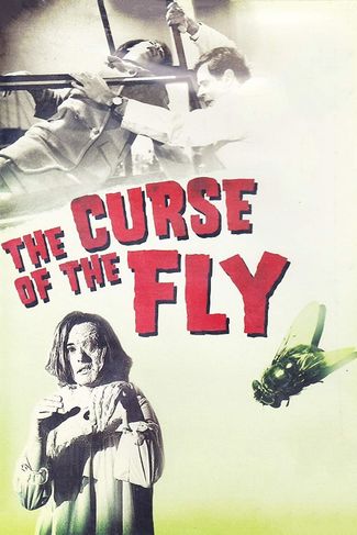 Poster of Curse of the Fly