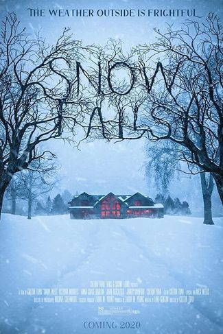 Poster of Snow Falls