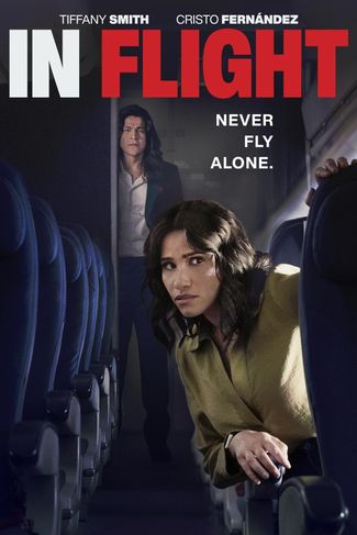 Poster of In Flight