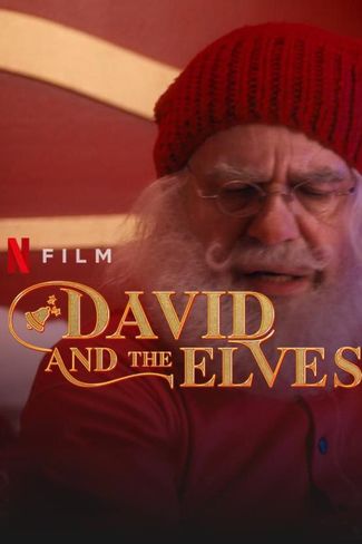 Poster zu David and the Elves