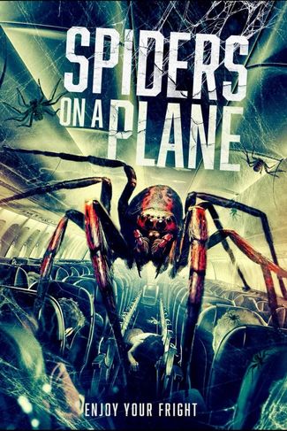 Poster zu Spiders on a Plane