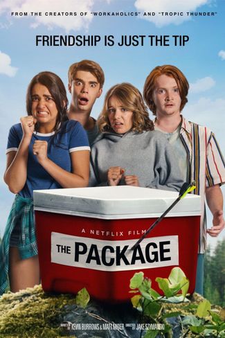 Poster of The Package