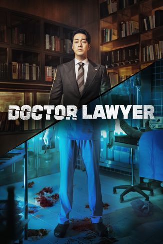 Poster zu Doctor Lawyer