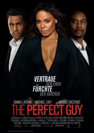 Poster of The Perfect Guy