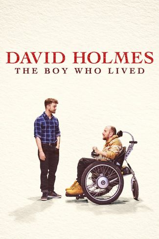 Poster zu David Holmes: Der Junge, der überlebt hat