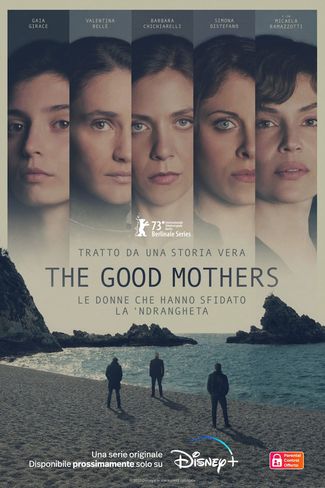 Poster of The Good Mothers