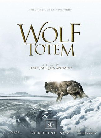 Poster zu Der letzte Wolf