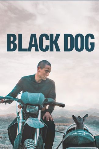 Poster of Black Dog