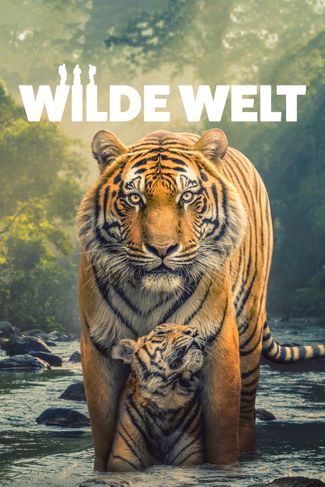 Poster zu Wilde Welt