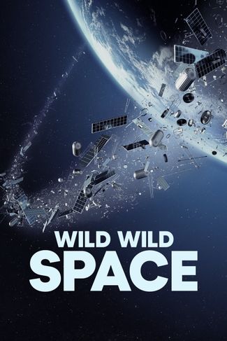 Poster of Wild Wild Space