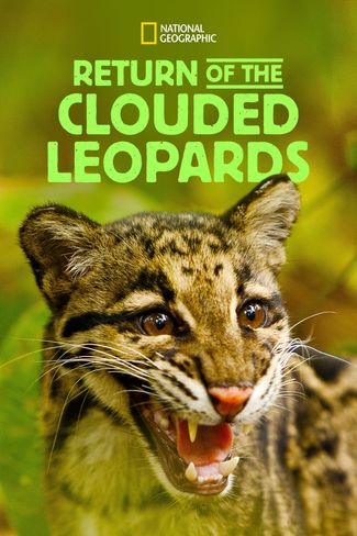 Poster zu Return of the Clouded Leopards