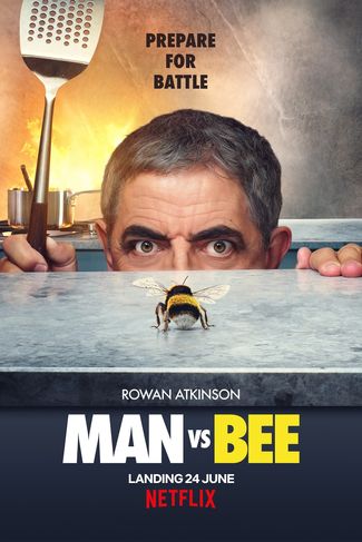Poster zu Man Vs Bee