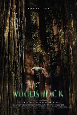 Poster of Woodshock