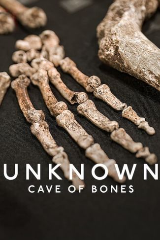 Poster zu Unbekannt: Die Knochenhöhle