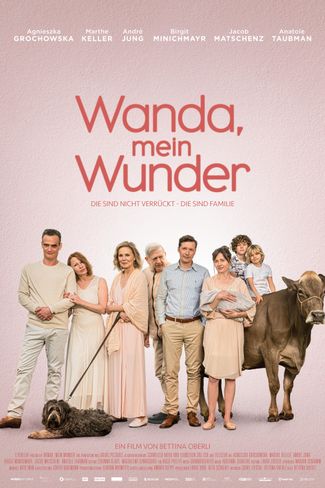Poster of My Wonderful Wanda