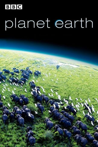 Poster of Planet Earth