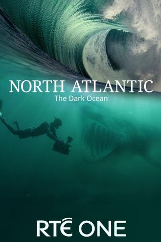 Poster zu North Atlantic: The Dark Ocean