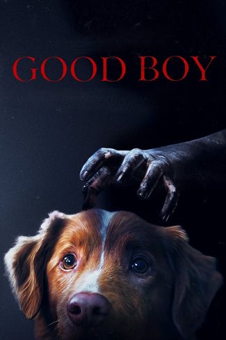 Poster of Good Boy