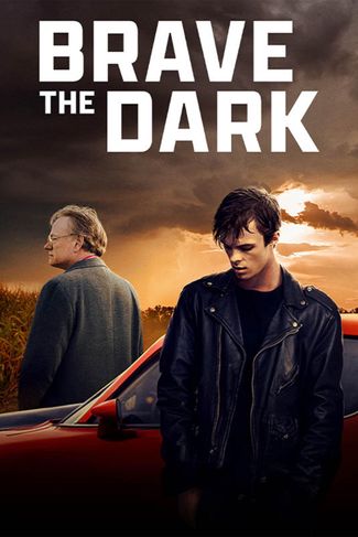 Poster zu Brave the Dark