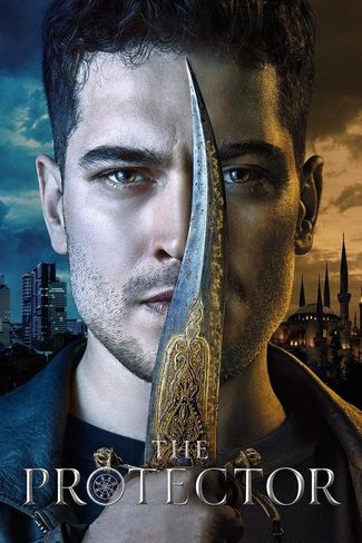 Poster zu The Protector