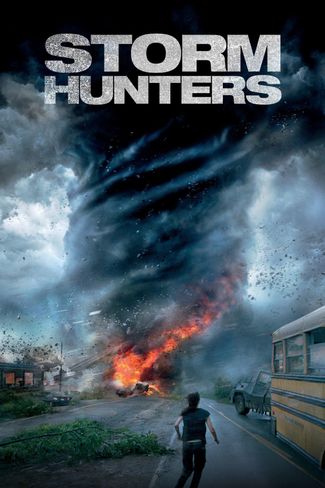Poster zu Storm Hunters