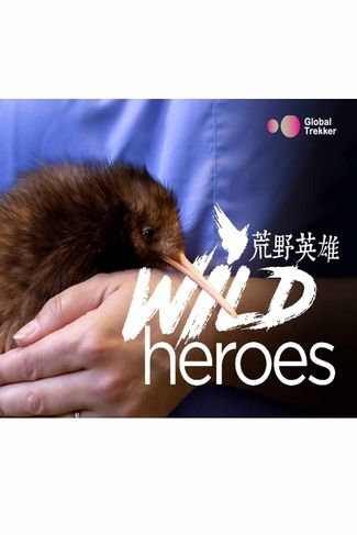Poster zu Wild Heroes: Die Zoo-Helden von Auckland